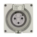 Protega 3 Pin 20amp Socket Outlet 250v IP66