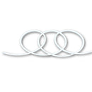 Neon Flex 12VDC Cool White